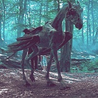 thestral