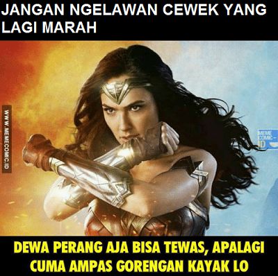 Meme Wonder Woman 6